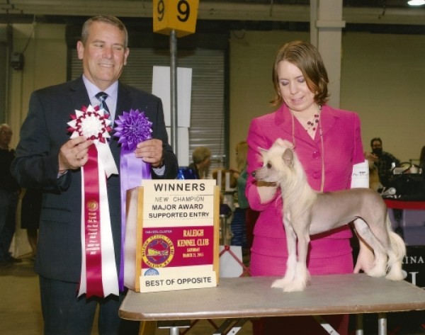 GCh. Koridawns If Wishes Were Horses (group placing)