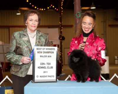 Kosh finishing his championship at 11mos old