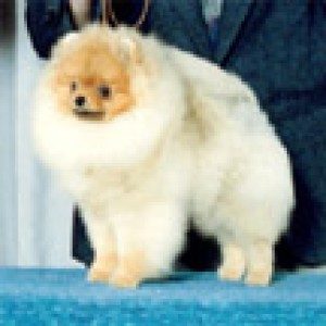 Foxworth Formal Wear