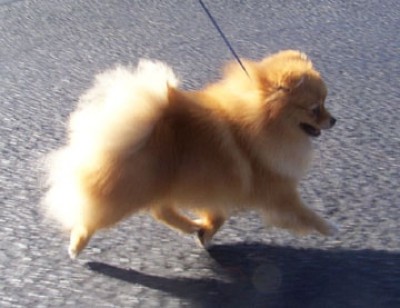 Meadow on the move as a young girl