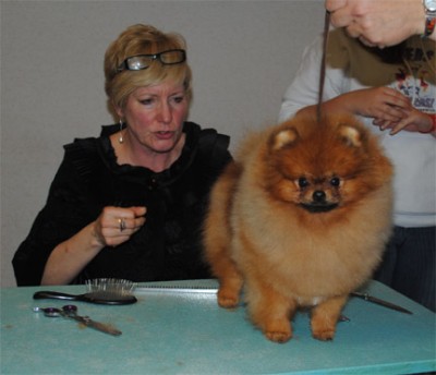 Odin gets a hair cut courtesy of Chris Heartz