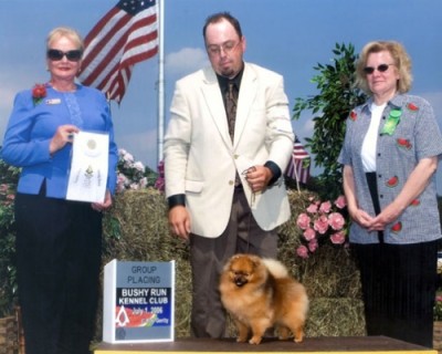 Roxie winning a Group 4 from the classes