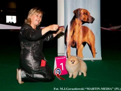 Sherbert at 8mos old