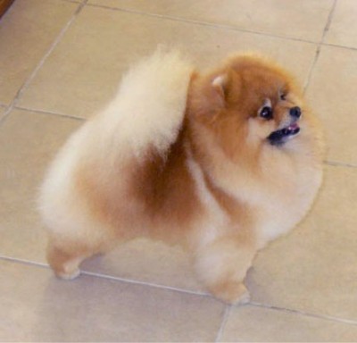 Spencer at 2 yrs old