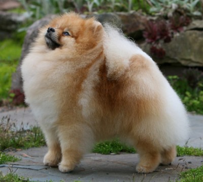 Spencer at 18 months old