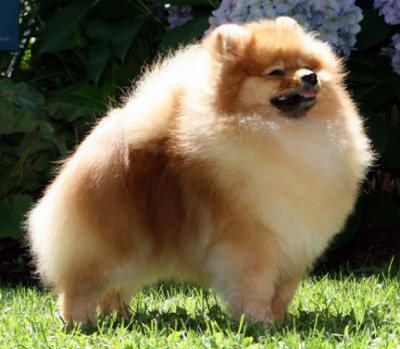 Spencer at 8 mos old