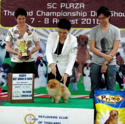 Xander winning Reserve Best Junior In Show at 16mos old