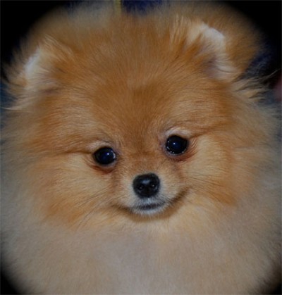 Olivia  at 7 mos old