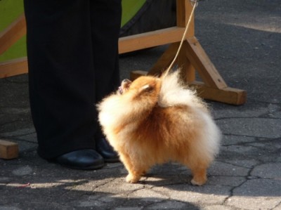 Westley at 21 mos old