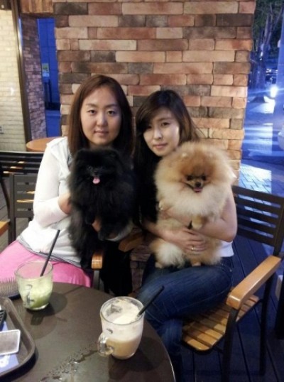 Desmond and friends in Korea