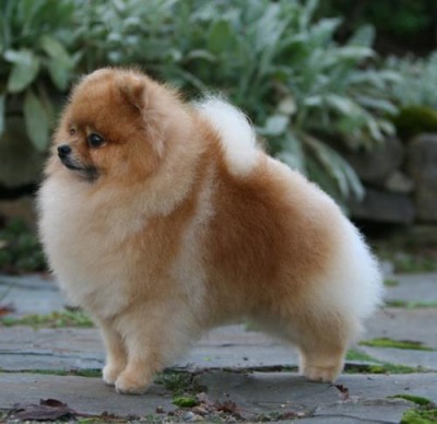 Spencer at 5 yrs old