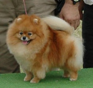 Damascusroad Misty By The Sea