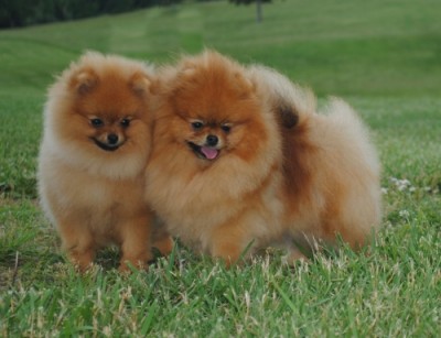 Odette and her daughter Cersei