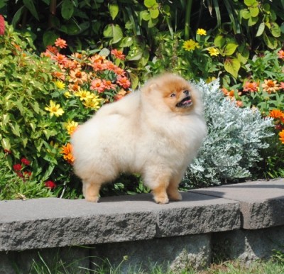 Daenerys at 8mos old