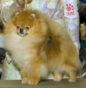 Magic Moments of Lenette