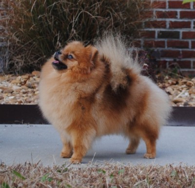 Edith at 1yr 9mos old