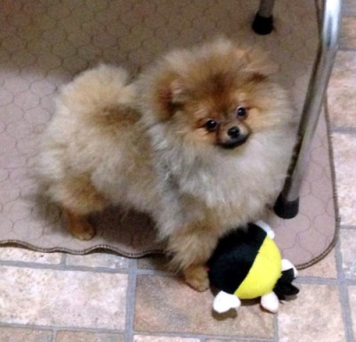 Jon-Jon at 4 1/2 mos old