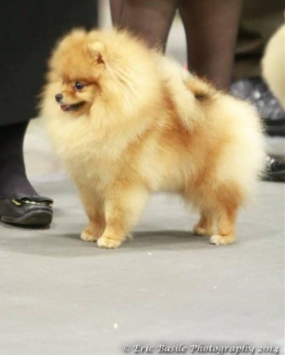 Daenerys at 1 yr old