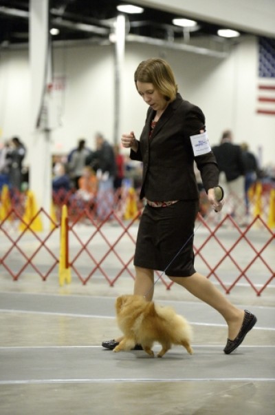 Jorah in the ring at 12mos old in his year shed.