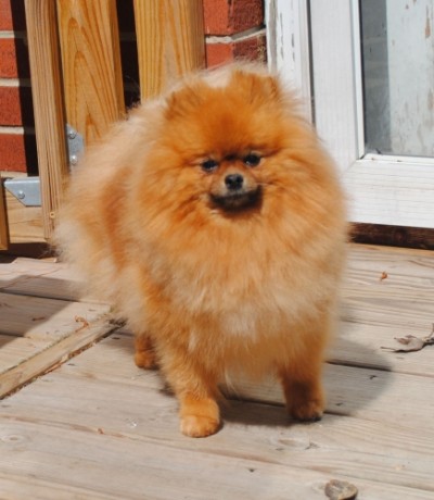 Daria at 3 1/2 yrs old