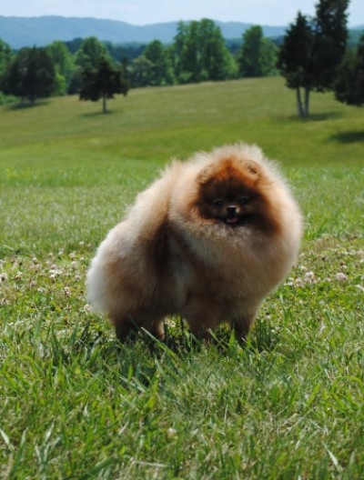 Jon Jon at 11mos old