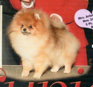 Great Rivers Lil Lover Boy