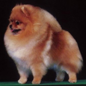 Kwangthong's Coca-Cola