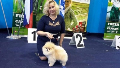 Sherbert at 5 yrs old showing in Israel