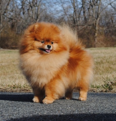 Marsha at 3 years old