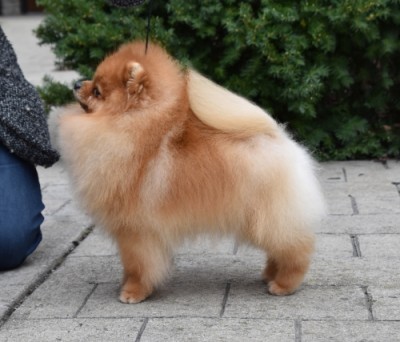 Selmy at 2 1/2 yrs old