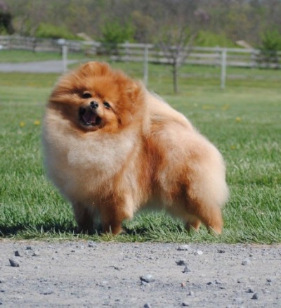 Doreah smiling at 2 1/2 yrs old