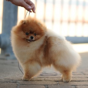 Silhouette's Seeking Nirvana