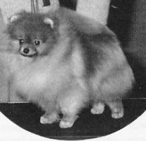 Chriscendo City Lights