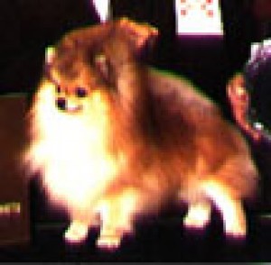 Millamor's Trademark