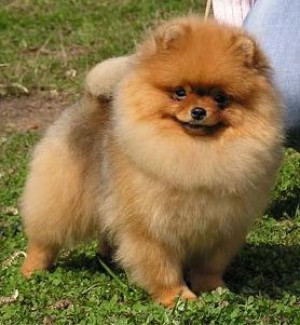 Tatiana's Lil Southpaw Man