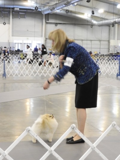 Winston at 14mos old