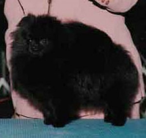 Finch's You're So Vain