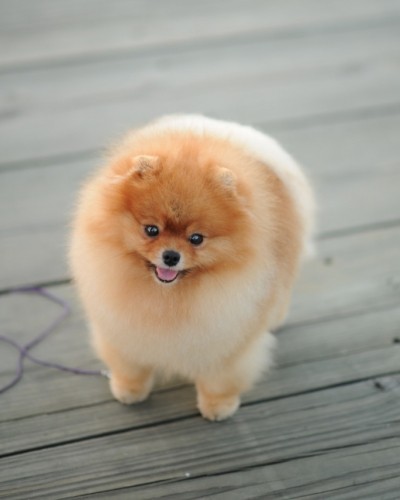  Photo by Dempsey Photography.