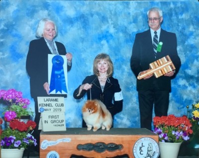 Tarly winning Group 1 with Brenda Heimbach