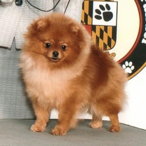 Silhouette's Sit A Spell