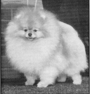 Hallmark's Maximum Attraction