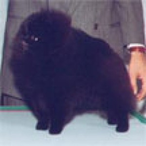 Starfire's Aunt Jemima