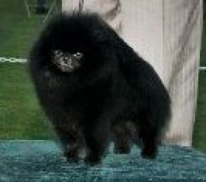 Horizon-N-Janesa Indian Sundown