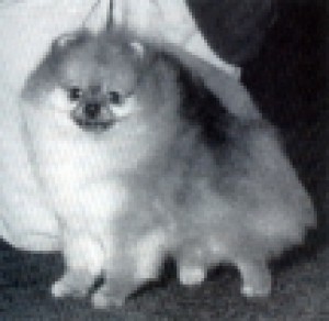 Jeribeth's Prince Vendredi