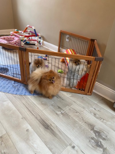 The adults get plenty of time in the house as well.