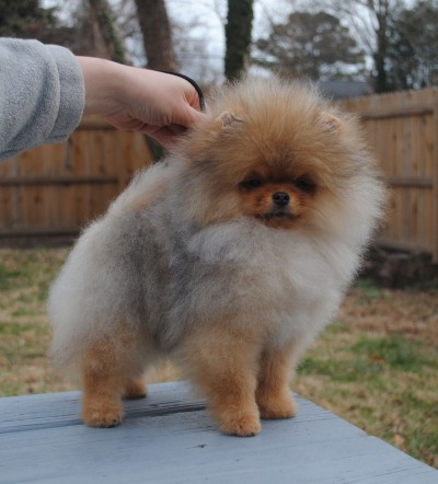 Alicent at 4 mos old