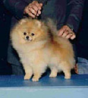 Tokie Time's Worth Waiting For