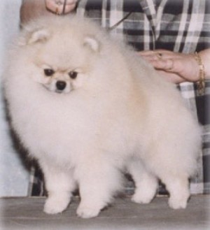 Trudy's Country Club