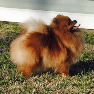 La Maison Au Contraire