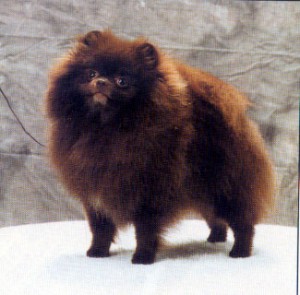 Heartland's In The Nicka Time